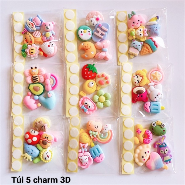 Túi 5 charm 3D