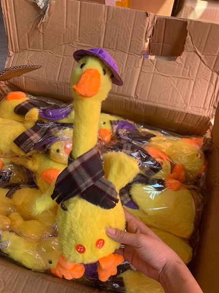 Vịt nhảy múa, nhại giọng, mũ xanh, nơ đỏ