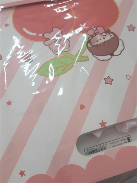 TÚI QUÀ SIZE LỚN