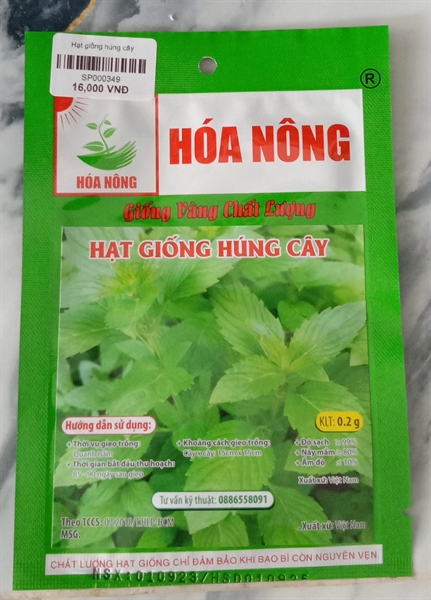 Hạt giống húng cây