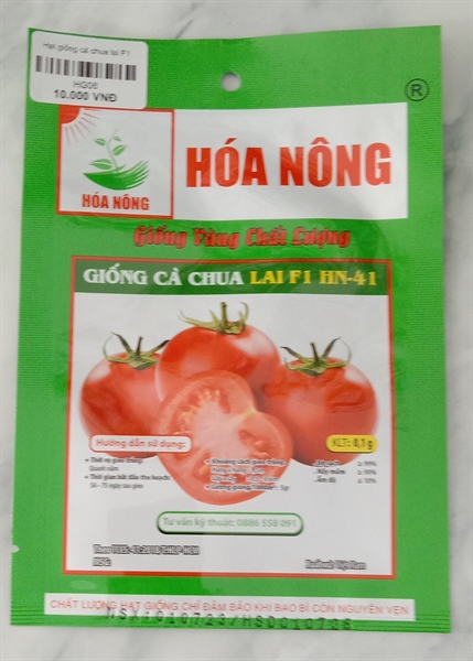 Hạt giống cà chua lai F1