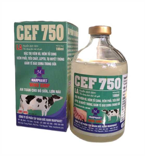 CEF 750 100ML