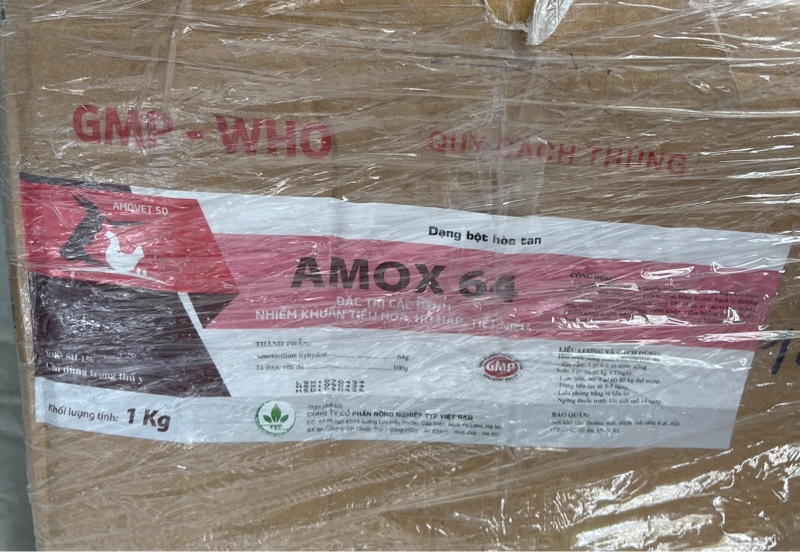 AMOX 64 TTP