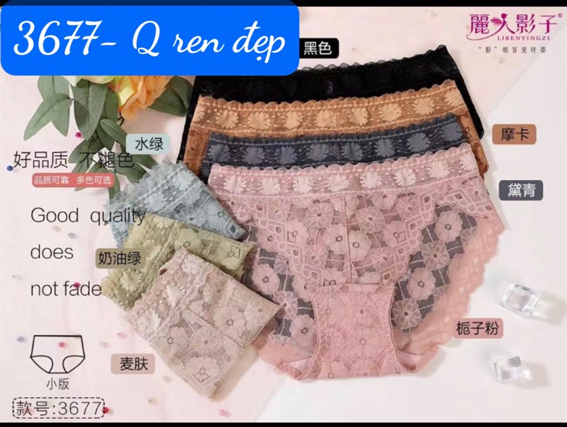 3677- q ren đẹp