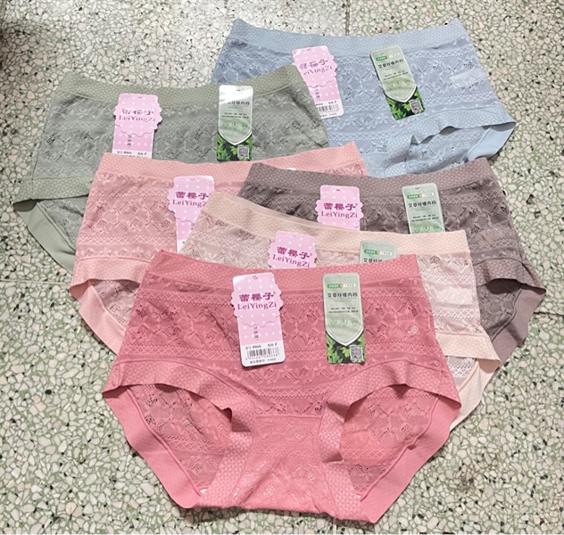 8066 - q ren lố sịn