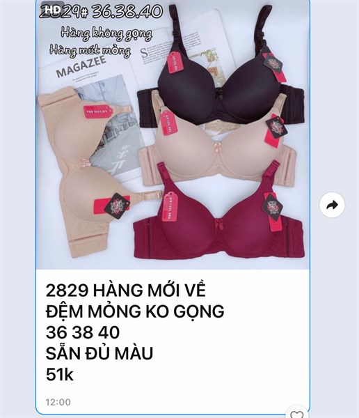 2829- áo đệm nhẹ