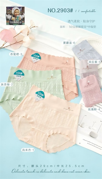 2903- q coton cạp cao