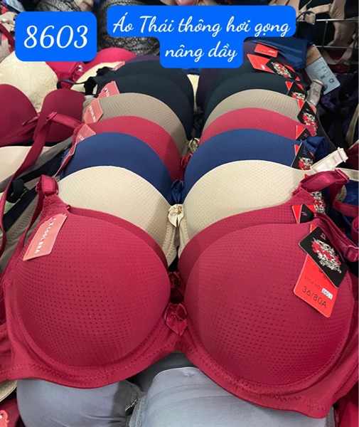 8603 áo Thái đệm dầy