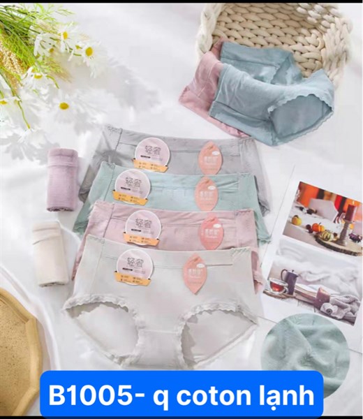 B1005- q cotton lạnh