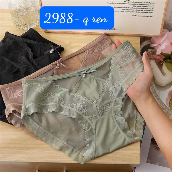 2988-q ren đẹp