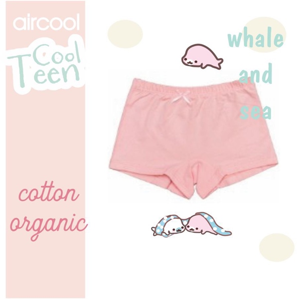 P343 Set 3 quần chip BG