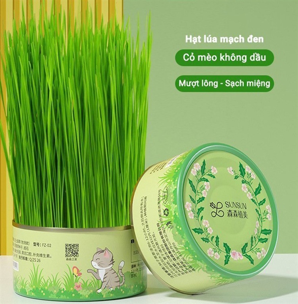 Lon trồng cỏ mèo tươi Sun Sun (chưa trồng),,,
