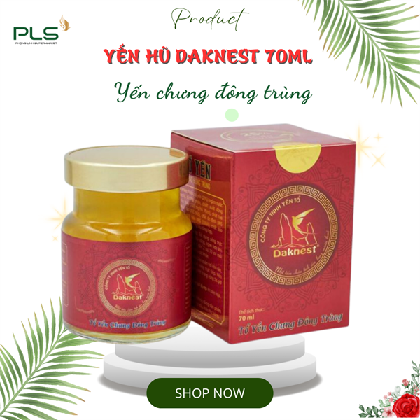 Tổ Yến chưng Đông Trùng 25%- Daknest