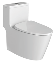 Bồn cầu một khối