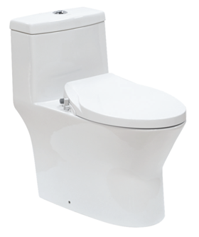 Bồn cầu một khối nắp rửa cơ