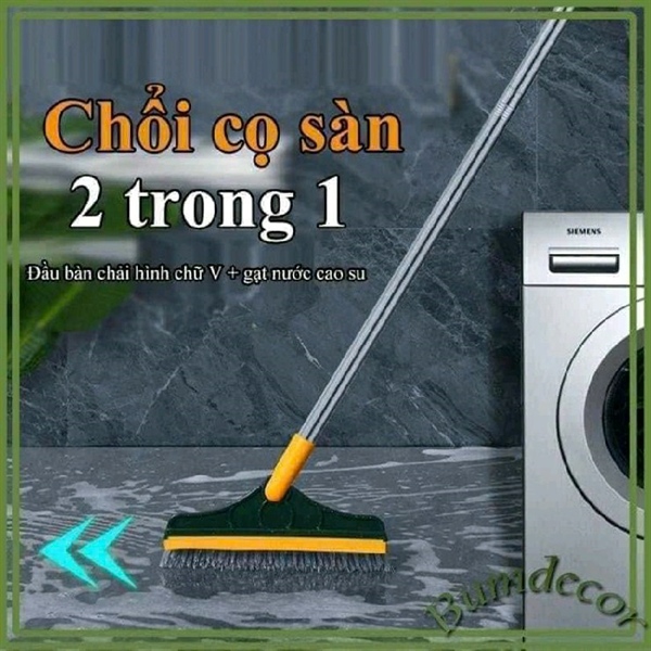 CÂY LAU TÁCH NƯỚC