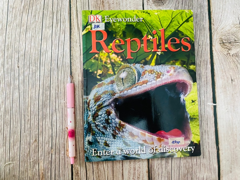 Reptiles