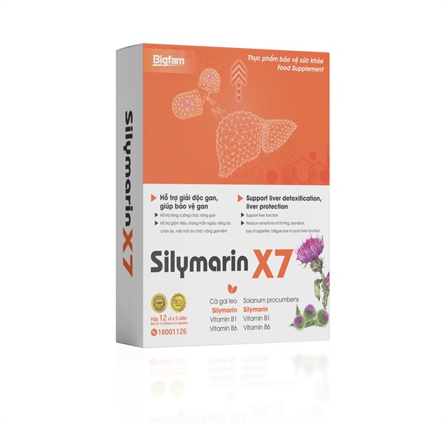 Silymarin X7 (Gan)H12v