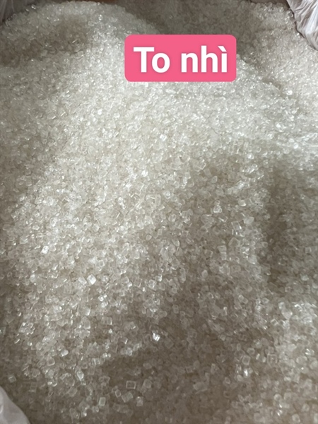ĐƯỜNG TO