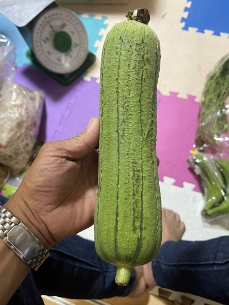 Mướp