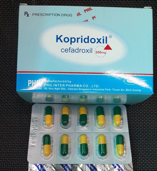 Kopridoxil Cefadroxil 500mg Phill (H/100V)