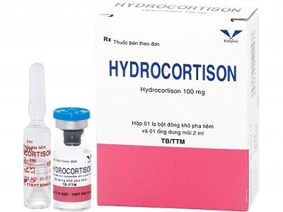 Hydrocortison 100mg Bidiphar/H1l