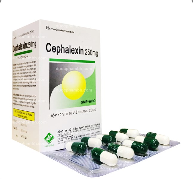 Cephalexin 250mg Vidiphar H/100V
