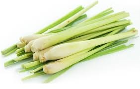 Sả tươi レモングラス