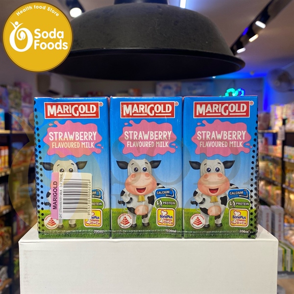 Sữa tươi Marigold 200ml Singapore - dâu