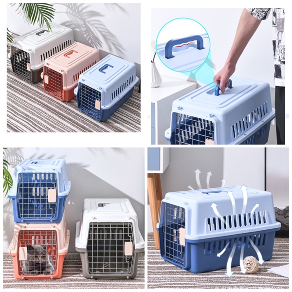 QS - Lồng vận chuyển hàng không (kèm lót nhựa)