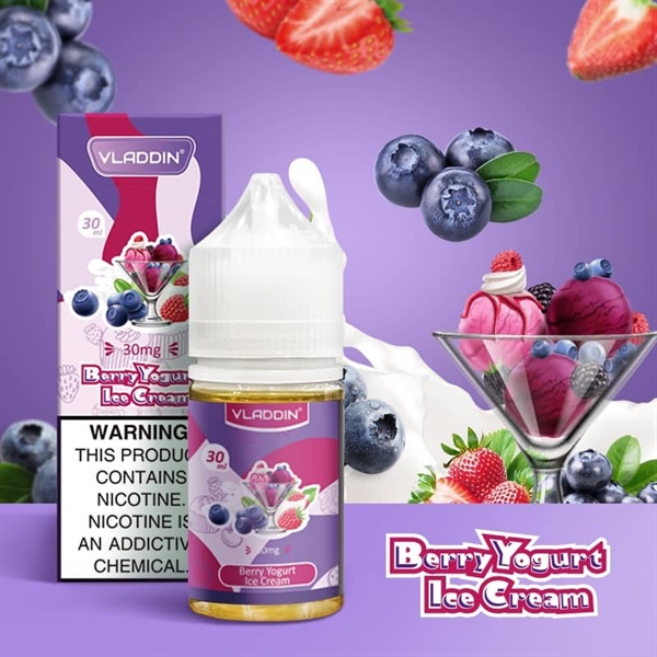 Berry Yogurt Ice Cream - Sữa chua kem việt quất