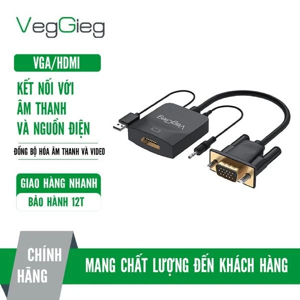 Dây chuyển đổi VGA-HDMI VEGEIECE VZ618 (FV)