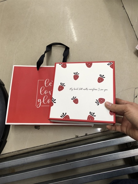 Hộp quà 16 ô trái dâu