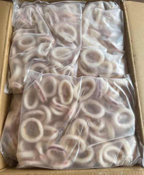 Mực Vòng 1KG Rã Đông 500–600G