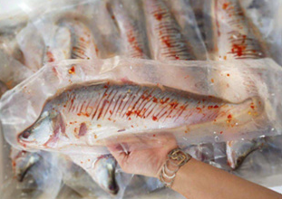 Cá Thác Lác Rút Xương 1KG (4 Con) - Món Ngon Tiện Lợi Việt Nam