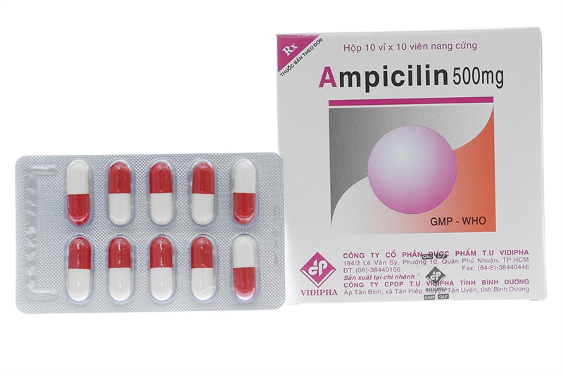 Ampicilin 500mg vidipha (h/100v)