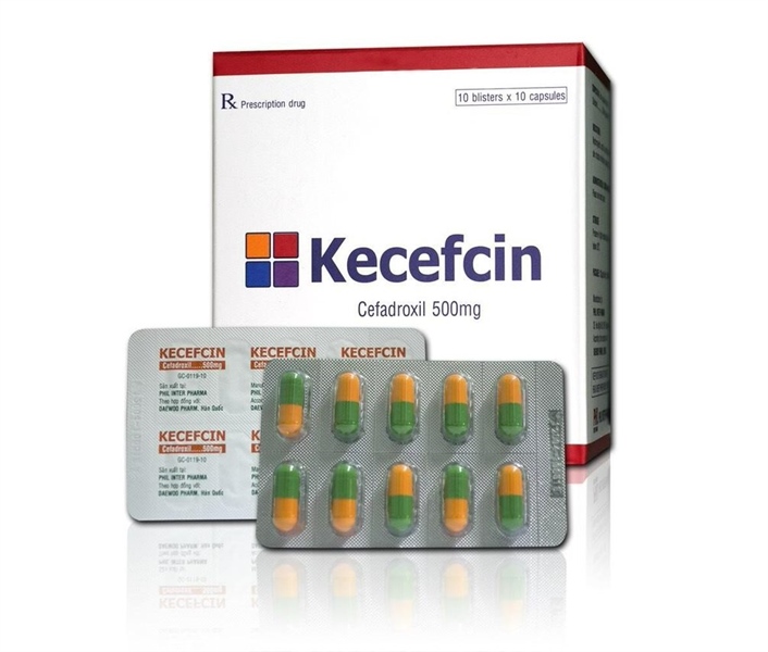 Kecefcin cefadroxil 500mg phil inter (h/100v)