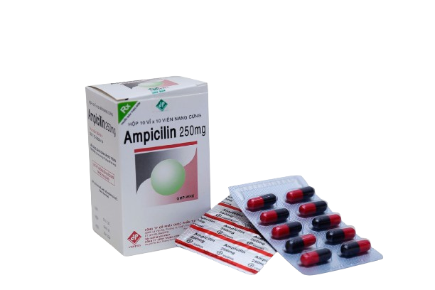 Ampicilin 250mg vidipha (hộp/100viên nang)