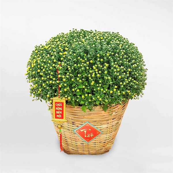 GIỎ CẦN XÉ