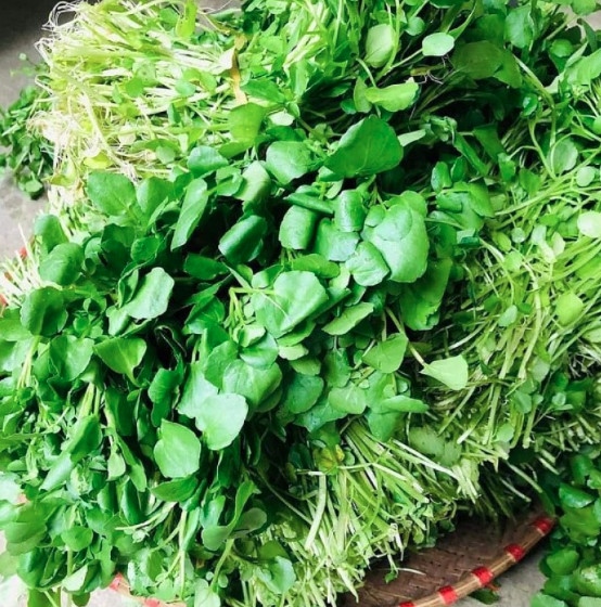 Xà lách xoong - Watercress