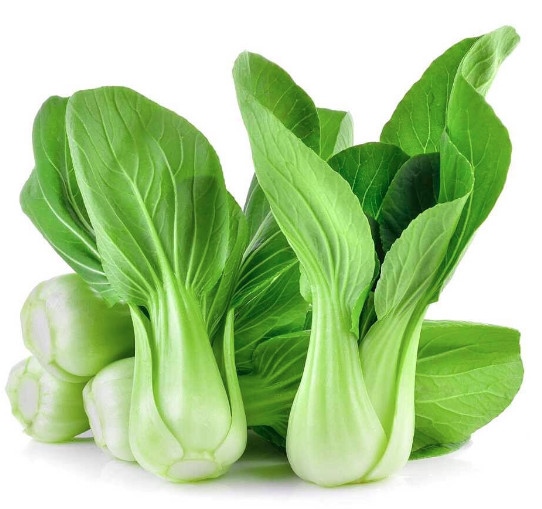 Cải thìa (cải chíp) - Bok choy