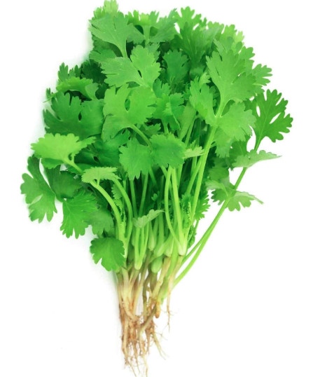 Ngò rí (mùi) - Coriander