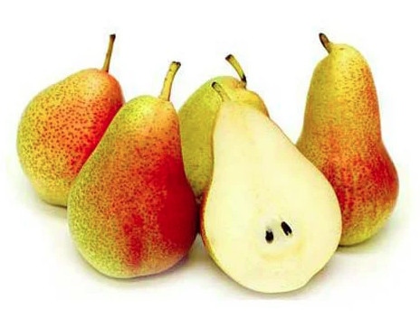 Lê Nam Phi - South African pear