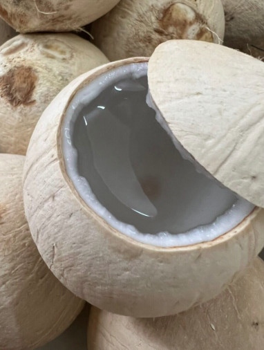 Ba Đốt dừa xiêm trọc 500g - Coconut