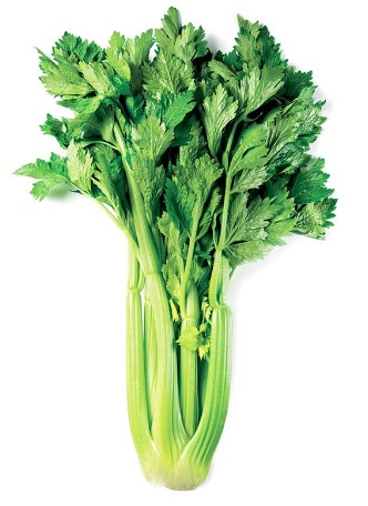 Cần tây - Celery