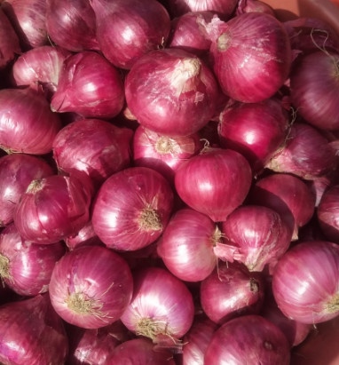 Hành tím - Shallot