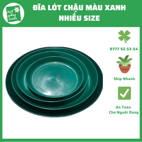 Đĩa Lót Xanh Lá Pi36