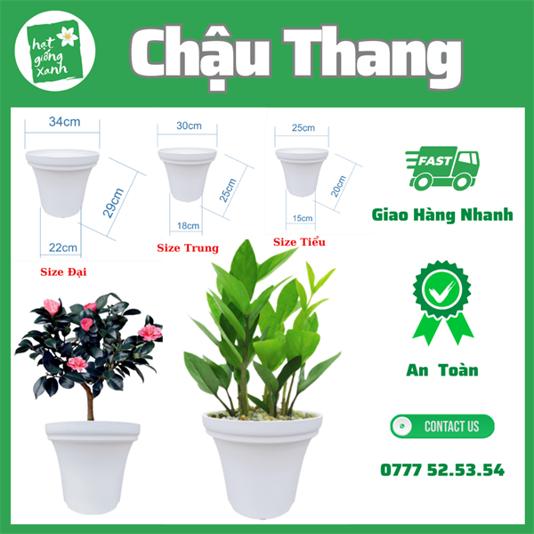 Chậu Thang Tiểu Trắng (30*25)