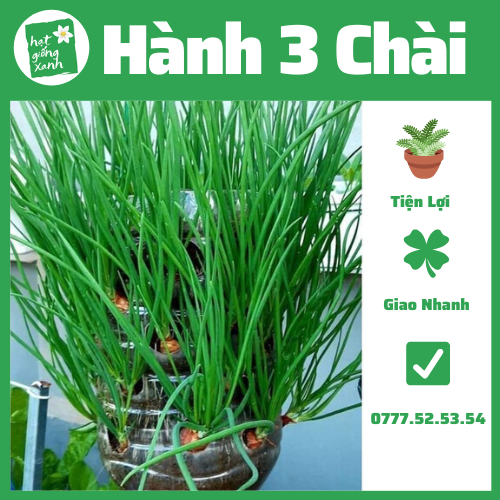Hành Ba Chài (1Kg)