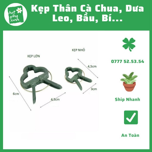 Kẹp Thân Cà Chua Nhỏ 4.5cm